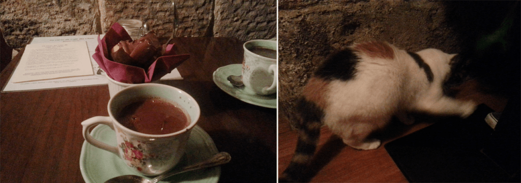 La café des chats